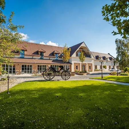 Arkady Hof